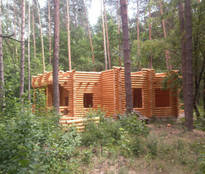 49