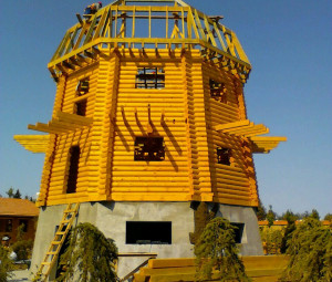 mlin_5